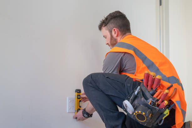 Best Electric Panel Repair  in Pagedale, MO